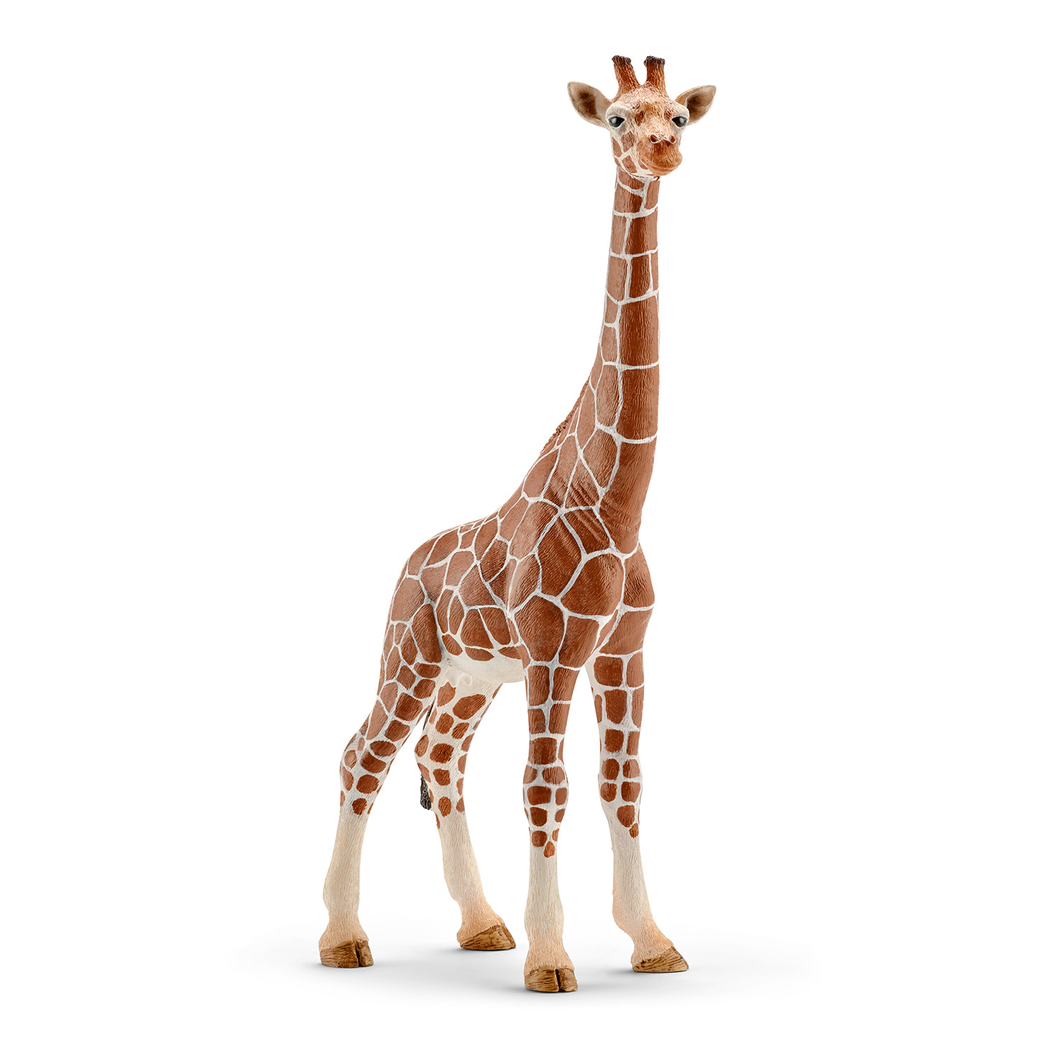 Figurina Schleich  Wild Life Africa - Girafa reticulata, femela