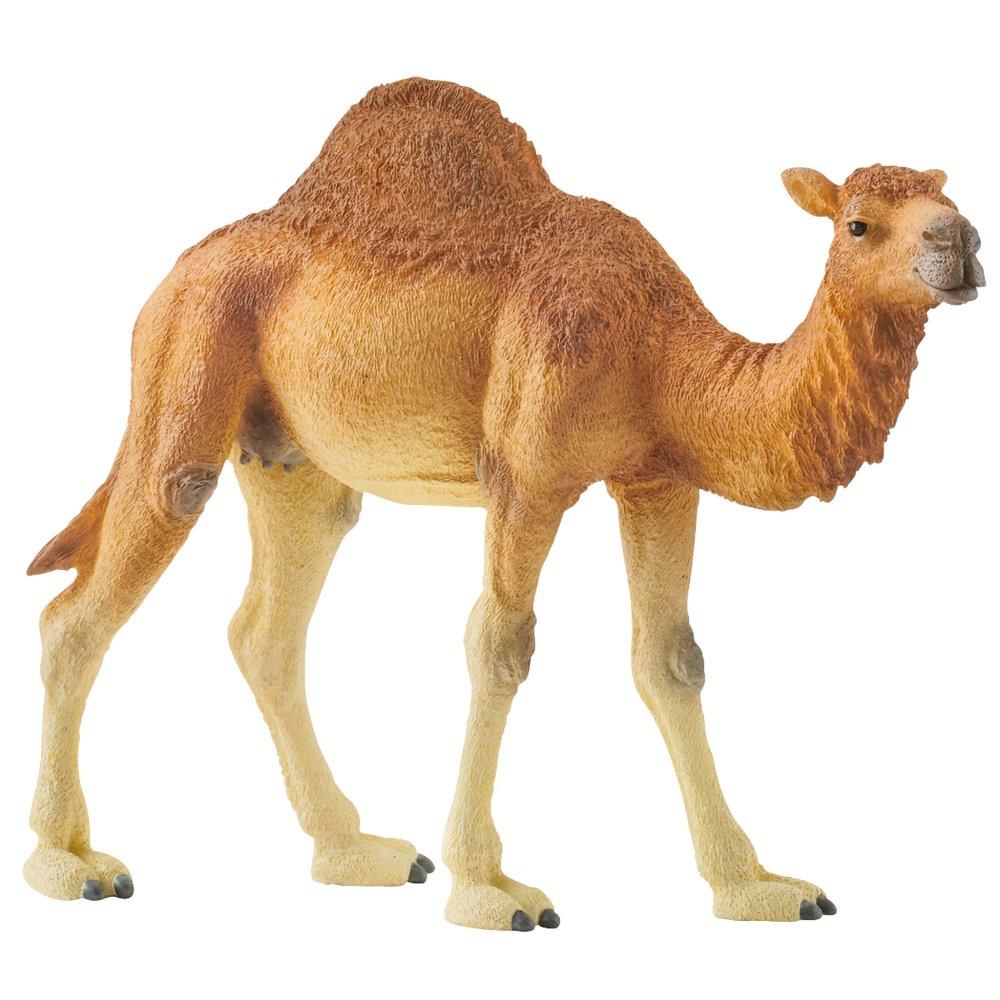 Figurina Schleich Wild Life Africa - Dromader