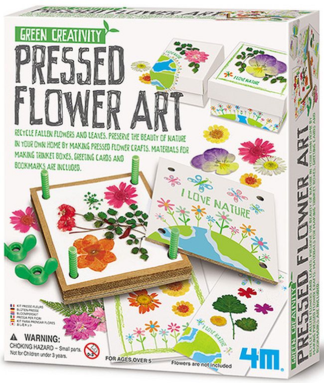 Set de creatie 4M Green Creatvity - Creaza-ti un ierbar