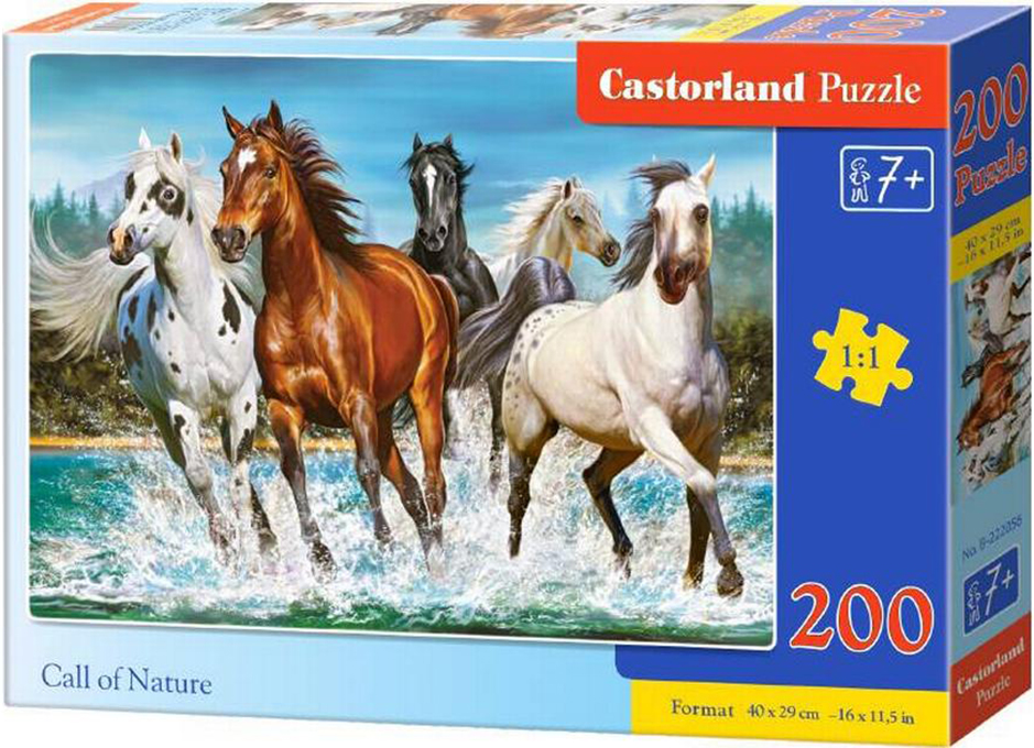 Puzzle Castorland din 200 de piese - Chemarea naturii
