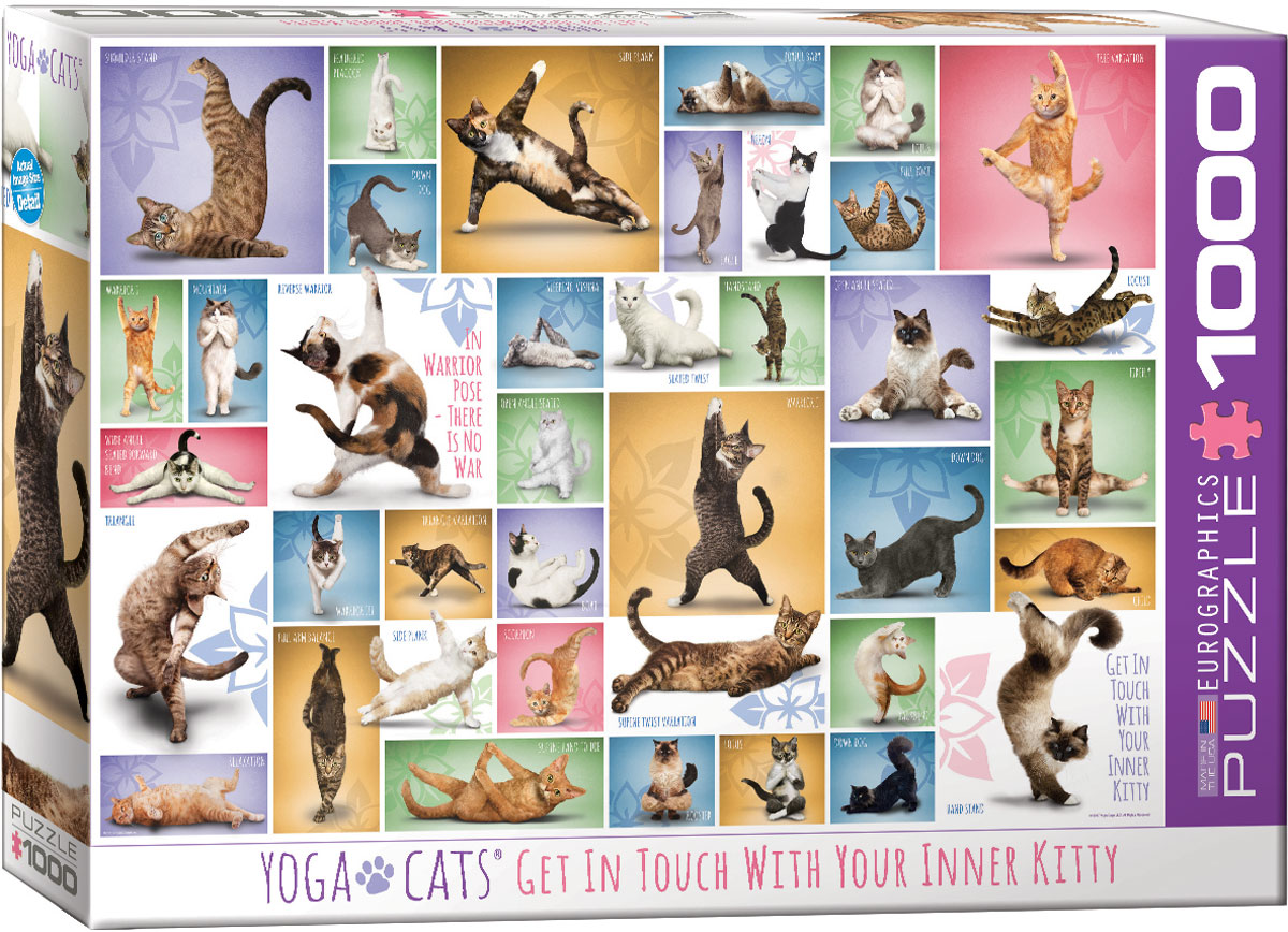 Puzzle Eurographics din 1000 de piese - Yoga Pisici