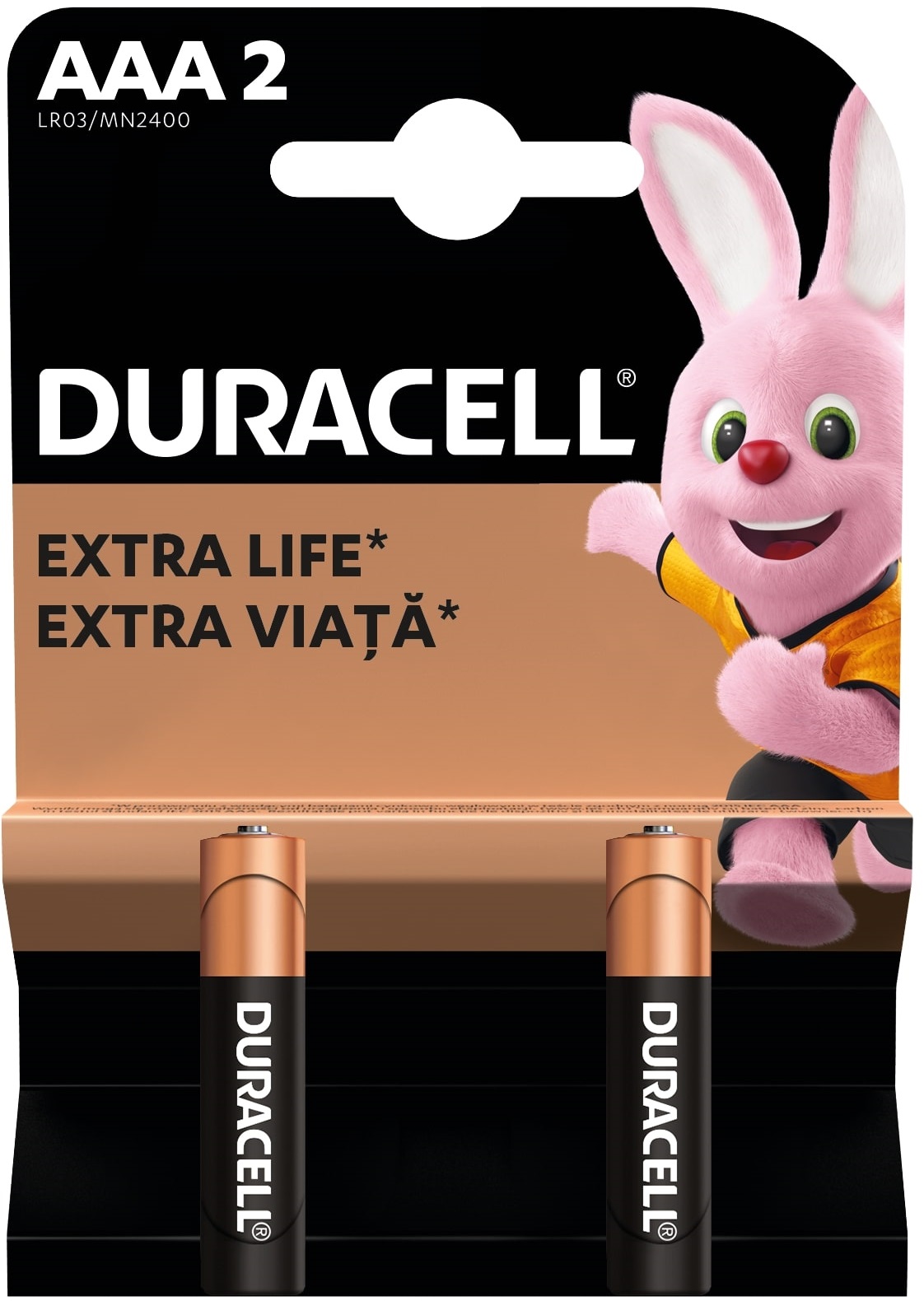 Baterii alcaline  Duracell - Basic, AAA, 2 buc.