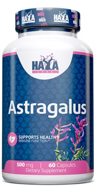 Astragalus, 500 mg, 60 capsule, Haya Labs