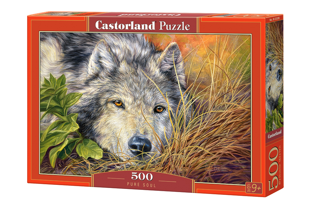 Puzzle Castorland din 500 de piese - Suflet curat