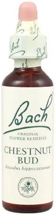 Remedii florale Bach Flower Remedies Chestnut Bud - Esență florală N°7, 20 ml, Vedra