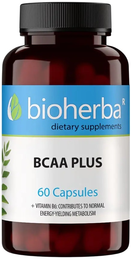 BCAA Plus, 60 capsule, Bioherba