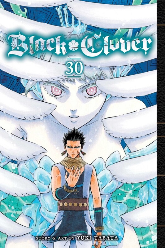 Black Clover, Vol. 30: Volume 30 - Yuki Tabata - imagine 2