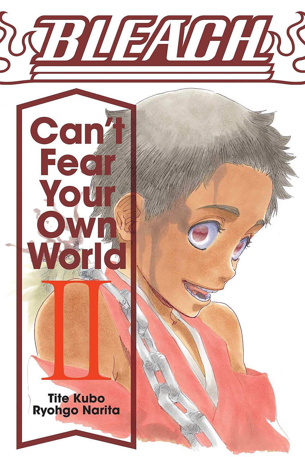 Bleach: Can't Fear Your Own World, Vol. 2, 2 - Tite Kubo - imagine 2