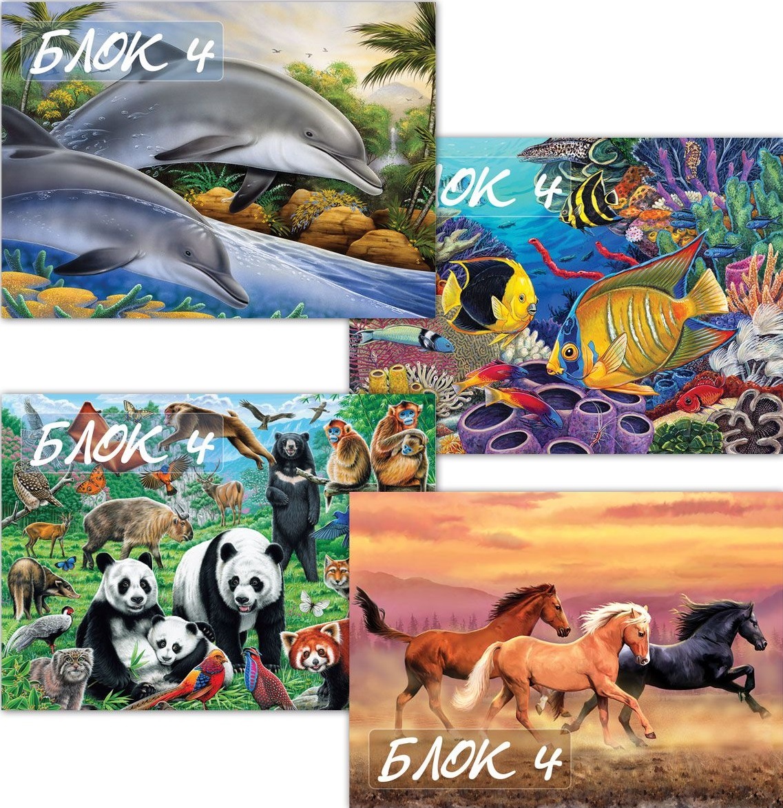 Bloc de desen Nr. 4 - 10 coli, sortiment