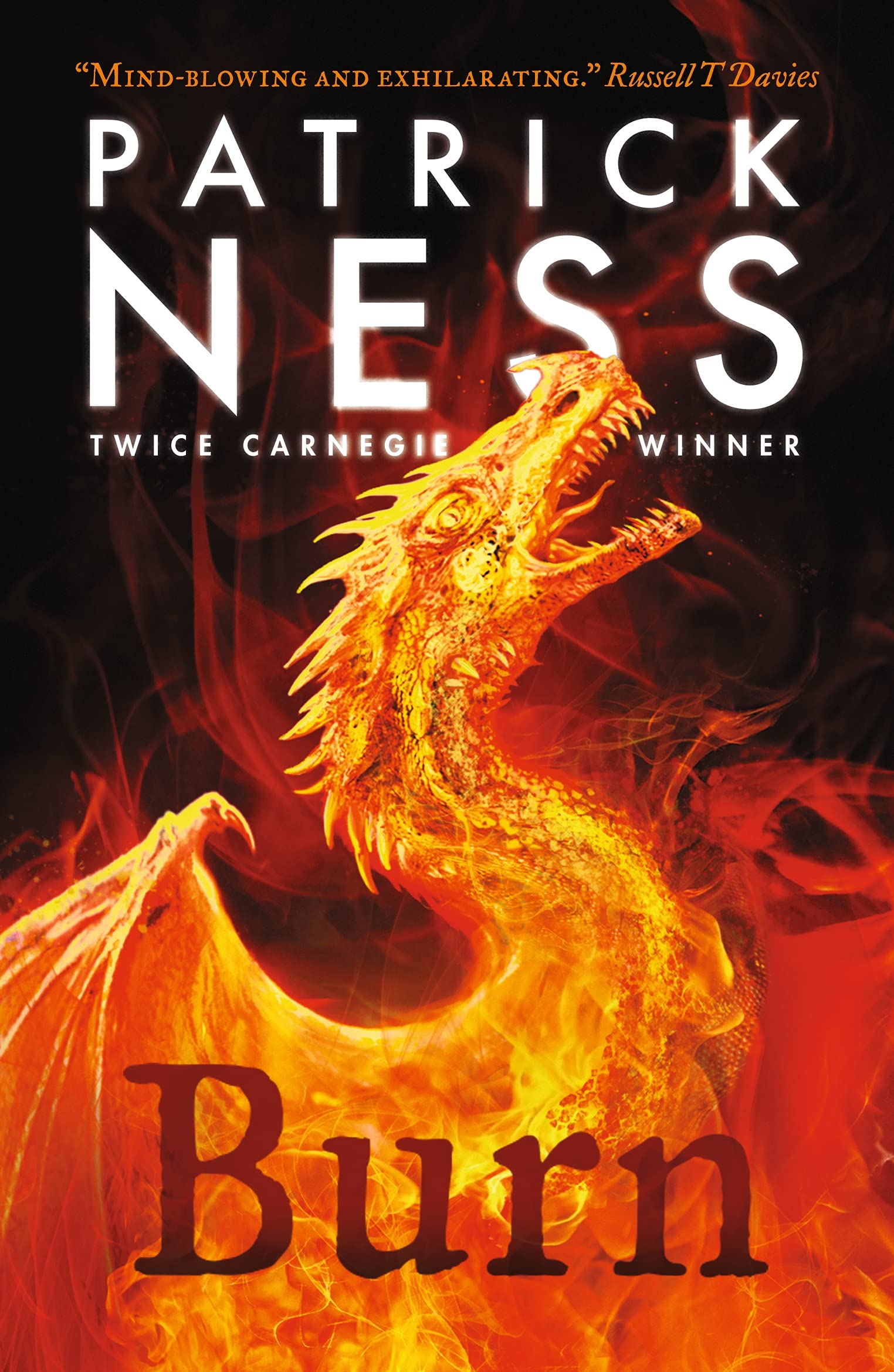 Burn (Paperback)