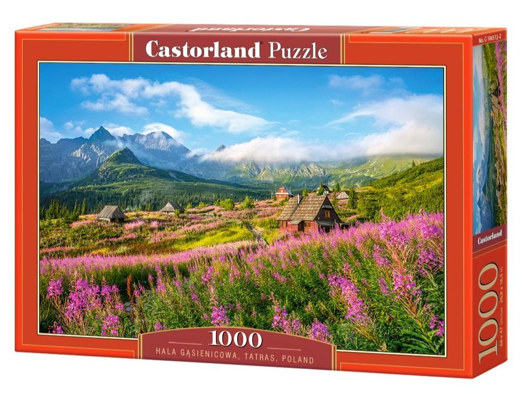 Puzzle Castorland din 1000 de piese - Tatra, Polonia