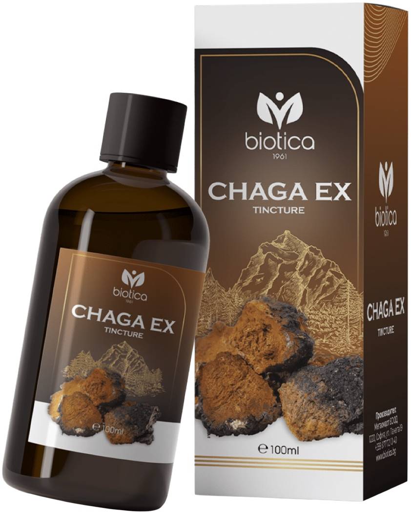 Chaga Ex, 100 ml, Biotica 1961