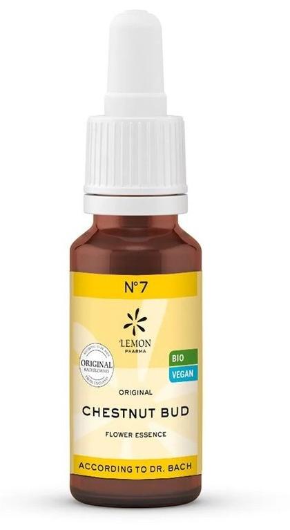 Esență florală Chestnut Bud N°7, 20 ml, Lemon Pharma