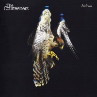 The Courteeners - Falcon - (CD)
