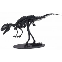 Puzzle 3D Kikkerland - Dinozaur, sortiment