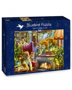 Puzzle Bluebird de 2000 piese - Tigri, care supravietuiesc