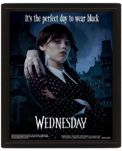 3D poster cu rama Pyramid Television: Wednesday - Wednesday Perfect Day