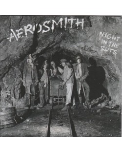 AEROSMITH - Night in the Ruts (CD)