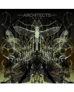 Architects - Ruin (CD)