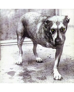 Alice in Chains - Alice In Chains (CD)