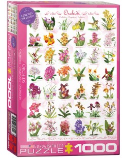 Puzzle Eurographics de 1000 piese – Orhidee