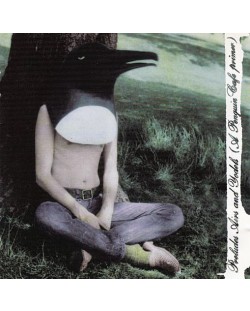 The Penguin Cafe Orchestra - Preludes, Airs And Yodels (A Penguin Cafe Primer) (CD)	