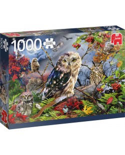Puzzle Jumbo de 1000 piese - Owls in the Moonlight