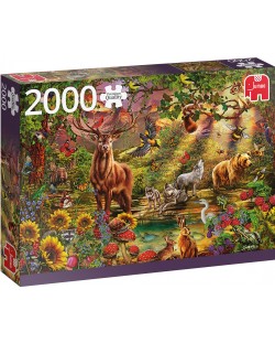 Puzzle Jumbo de 2000 piese - Magic Forest at Sunset
