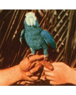 Andrew Bird - Are You Serious (CD)