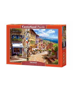 Puzzle Castorland de 3000 piese - Dupa-amiaza in Nisa