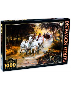 Puzzle D-Toys die 1000 piese - Galon, Alfred Kowalski