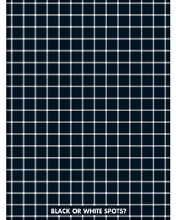 Tablou Art Print Pyramid Art: Optical Illusion - Spots