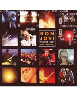 Bon Jovi - ONE Wild Night 1985-2001 (CD)