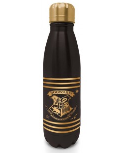 Sticlă de apă Pyramid Movies: Harry Potter - Black and Gold Logo, 540 ml