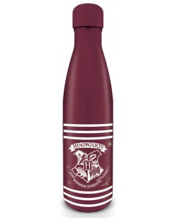 Sticla pentru apa Pyramid Harry Potter - Crest & Stripes