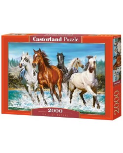 Puzzle Castorland de 2000 piese - Chemarea naturii