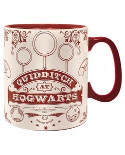 Cana Abysse Harry Potter - Quidditch