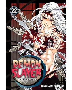 Demon Slayer Kimetsu no Yaiba, Vol. 22