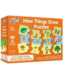 Puzzle pentru copii Galt - Evolutia organismelor vii, 6x4 piese