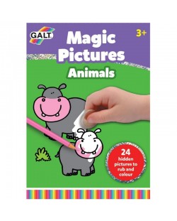 Carte pentru copii - sterge si coloreaza Galt - Animale