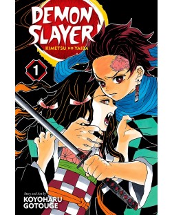 Demon Slayer. Kimetsu no Yaiba, Vol. 1	
