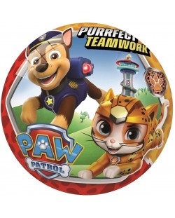 Minge pentru copii  Star - Paw Patrol, 14 cm