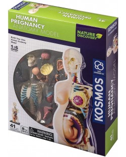 Set de asamblat pentru copii Thames & Kosmos - Anatomia sarcinii umane