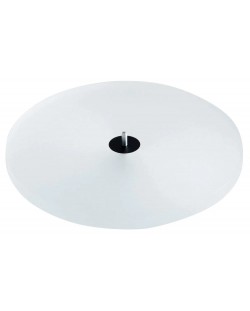 Disc pentru placă turnantă Pro-Ject - Acryl it E, alb/transparent
