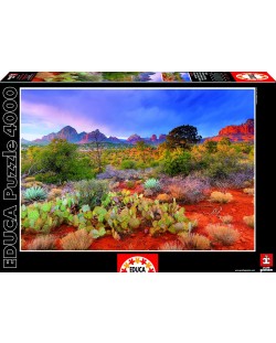 Puzzle Educa de 4000 piese - Parcul national Rand Rock, Arizona