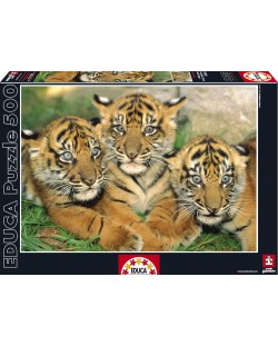 Puzzle Educa de 500 piese - Tigrii