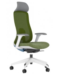 Scaun ergonomic Antares - DARIO, verde