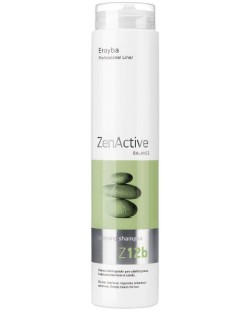 Erayba Zen Active Șampon de curățare pentru păr gras Z12b, 250 ml