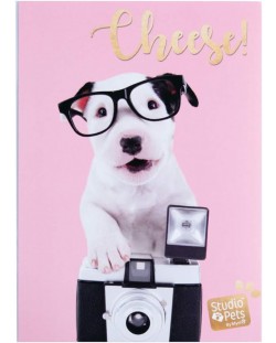 Album foto Grupo Erik Studio Pets - Dog Charlie, 36 de fotografii, 10 x 15 cm