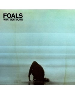 Foals - What Went Down (CD)	